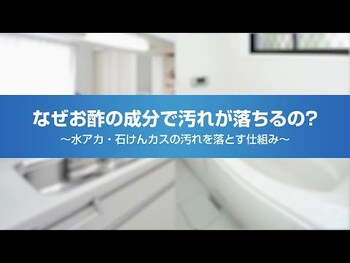金鳥 お風呂用ティンクル すすぎ節水タイプW 詰替用 アップルの香り 350mL 8個セット 送料無料-6