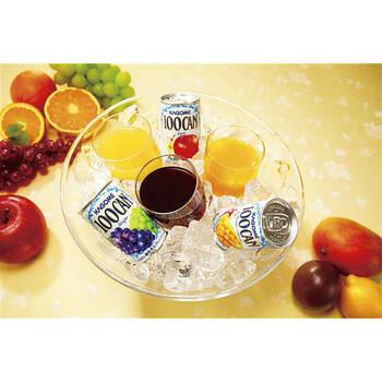 カゴメ フルーツジュースギフト FB 20G ギフト対応可 送料無料-1