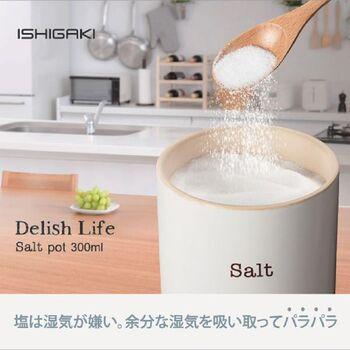 デリッシュライフソルトポット300ml 3個セット 送料無料 即日発送-3