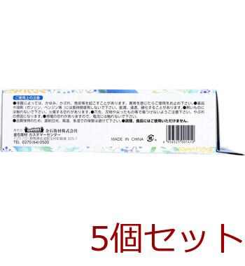 使い捨て おそうじ用手袋 Mサイズ 50枚入 5セット 送料無料-3