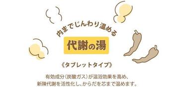 薬用入浴剤 整湯炭酸 ととのゆたんさん 香草唐辛子乃香 日本製 15セット 送料無料-1