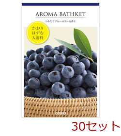 入浴剤 アロマバスケット ブルーベリー 日本製 30セット 送料無料-0