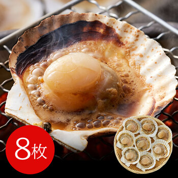 北海道産 帆立片貝 8枚 送料無料-0