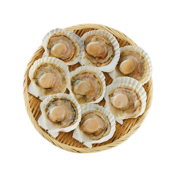 北海道産 帆立片貝 8枚 送料無料-1