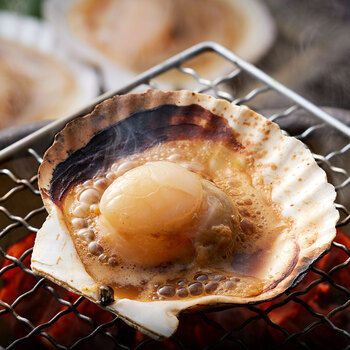 北海道産 帆立片貝 8枚 送料無料-2