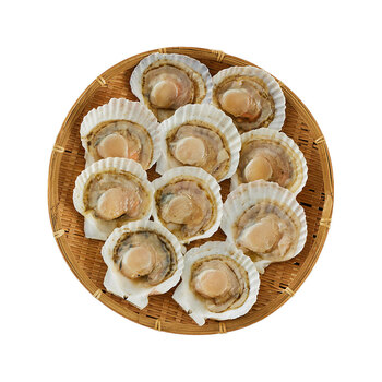 北海道産 帆立片貝 10枚 送料無料-1