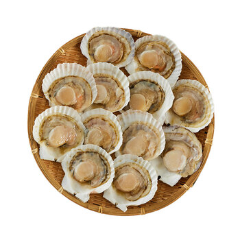 北海道産 帆立片貝 12枚 送料無料-1