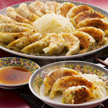 静岡 浜松餃子 15個×5 送料無料-2