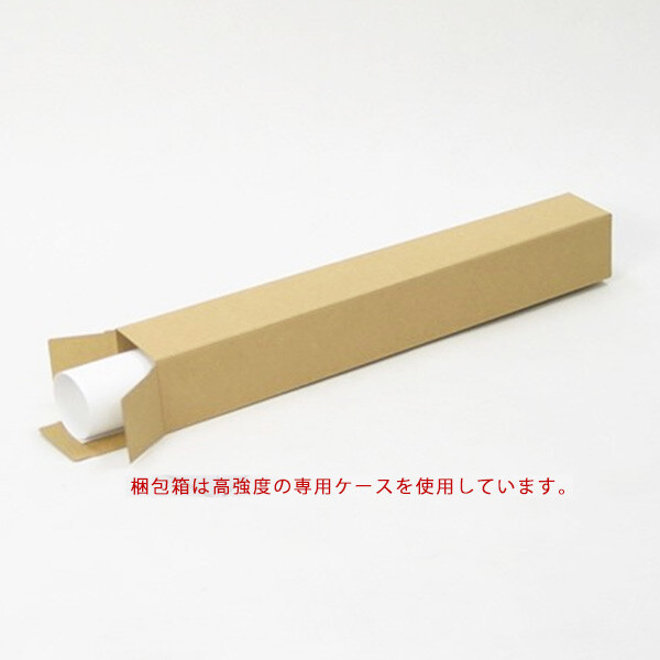 アートポスター A3 LIFEHACK wom43 アートプリント 高級印画紙 送料無料-4