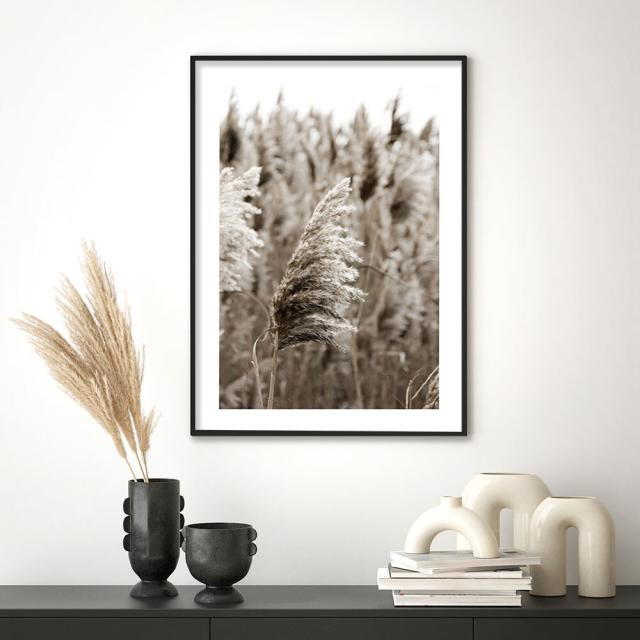 アートポスター A3 余白バランスがおしゃれA3 A3 北欧 モダン 絵 ナチュラル ベージュ パンパスグラス 送料無料-3