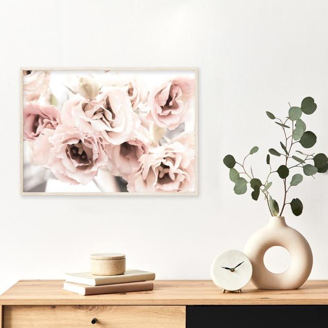 アートポスター A3 miimピンク コーラル ROSE 薔薇 バラ 花アートプリント 高級印画紙 PO27 送料無料-1