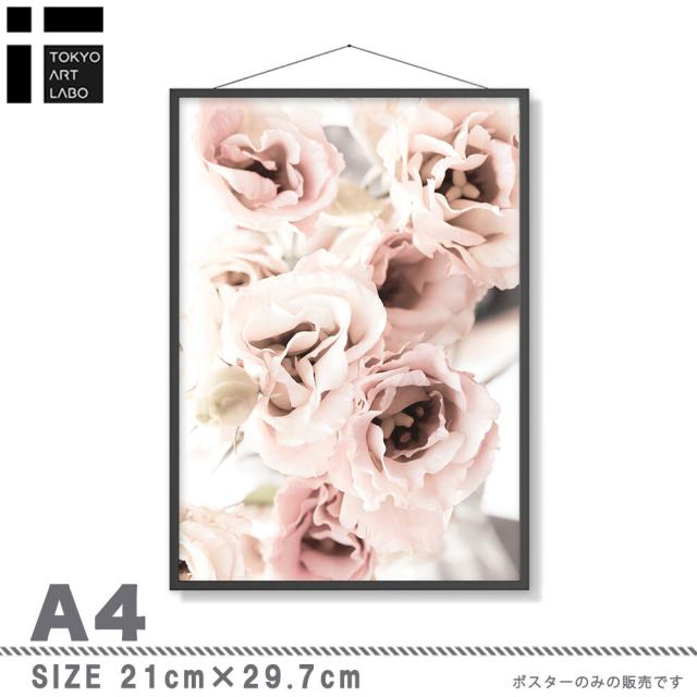 アートポスター A3 miimピンク コーラル ROSE 薔薇 バラ 花アートプリント 高級印画紙 PO27 送料無料-4