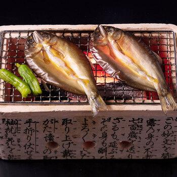 岐阜 創業明治10年 鵜舞屋 鮎一夜干し10尾 送料無料-2