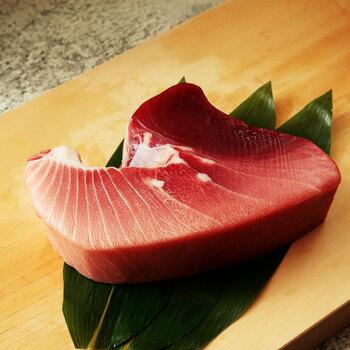 静岡焼津 天然南まぐろ ブロック 大トロ付 500g 送料無料-3