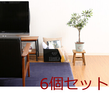 蓋付不織布インナーボックススタンダード 3色展開 6セット 送料無料-9