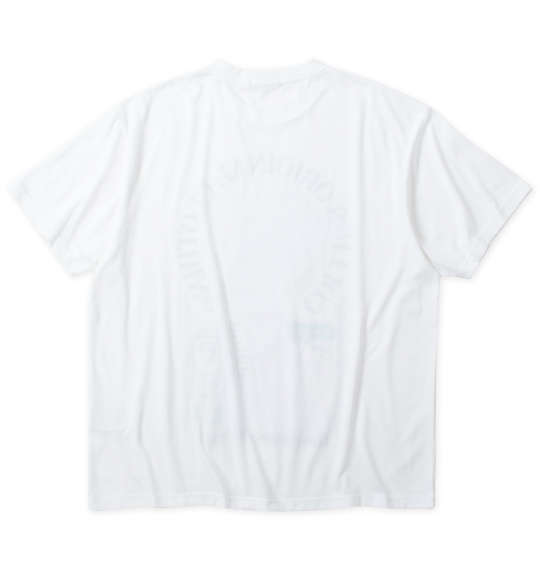 大きいサイズ ＣＯＬＬＩＮＳ 裏起毛カーディガン＋半袖Tシャツ ３Ｌ ４Ｌ ５Ｌ ６Ｌ ８Ｌ MC843122-72280 ラッピング可 送料無料 即日発送-4