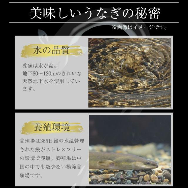 松屋 カット鰻15人前 送料無料 即日発送-4