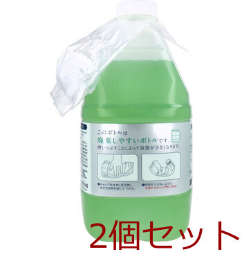 業務用 台所用洗剤 大容量 4L 2個セット 送料無料-2
