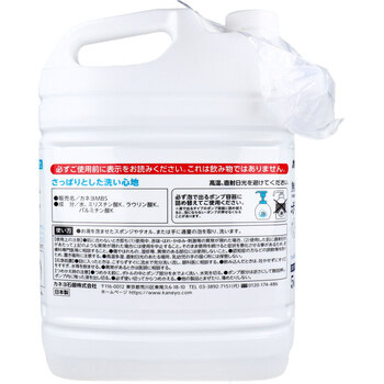 業務用 無添加泡のせっけんボディソープ 泡ポンプ専用 低臭タイプ 5kg 送料無料-1