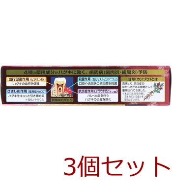 サンスター薬用塩ハミガキ 85g 3個セット 送料無料-2