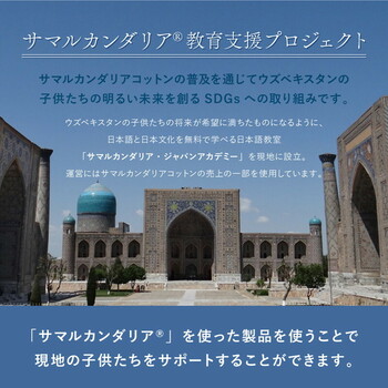 ラグ オーガニックコットンラグ 約185×240cm 洗える 抗菌 防臭 日本製 3サイズ 送料無料-13