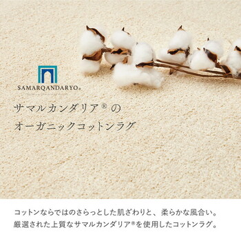 ラグ オーガニックコットンラグ 約185×240cm 洗える 抗菌 防臭 日本製 3サイズ 送料無料-1