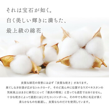 ラグ オーガニックコットンラグ 約185×240cm 洗える 抗菌 防臭 日本製 3サイズ 送料無料-3