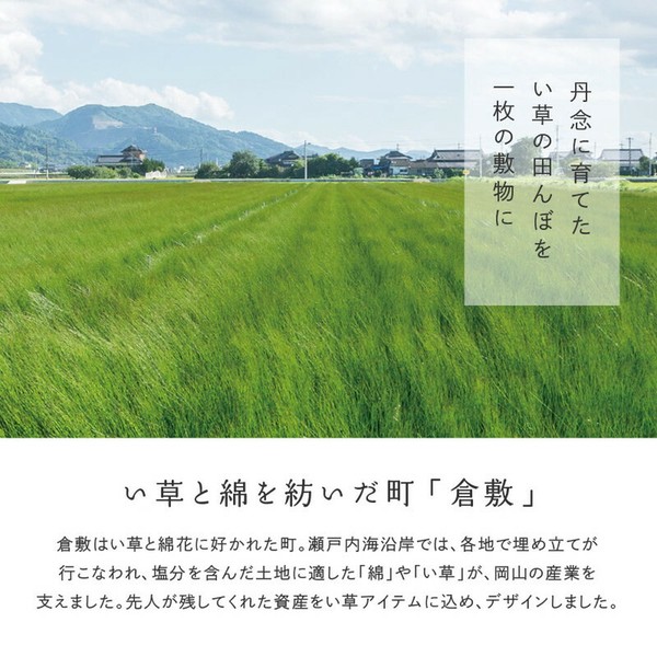 カーペット 国産い草カーペット 本間2畳 柄上敷き 花ござ 三重織 せとのと 倉ノ戸 2カラー 江戸間 本間 2~8帖 送料無料-2