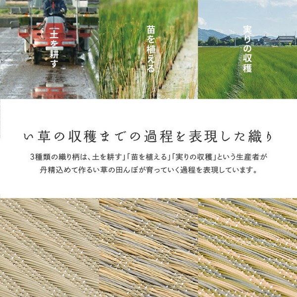 カーペット 国産い草カーペット 本間6畳 柄上敷き 花ござ 三重織 せとのと 倉ノ戸 2カラー 江戸間 本間 2~8帖 送料無料-3