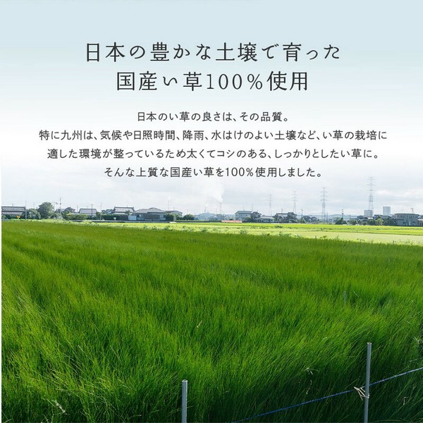 カーペット 国産い草カーペット 本間6畳 柄上敷き 花ござ 三重織 せとのと 倉ノ戸 2カラー 江戸間 本間 2~8帖 送料無料-7