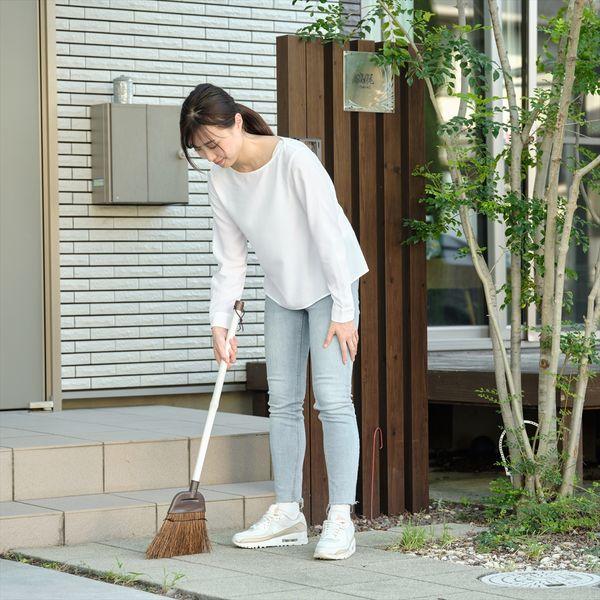 DailｙClean庭箒シダS2 ×5個セット 送料無料 即日発送-4