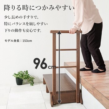 手すり付き玄関踏み台 片側手すり ワイド MFD 6909DBR 送料無料-6