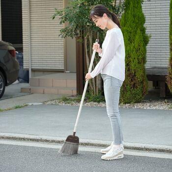 DailｙClean庭箒PPL2 ×3個セット 送料無料 即日発送-2