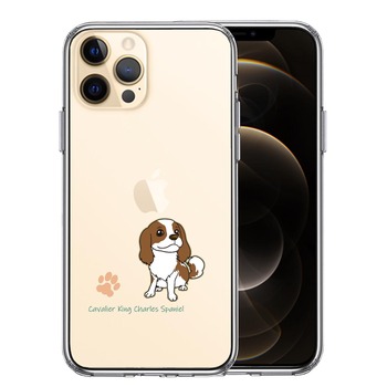 iPhone12Pro ケース クリア キャバリア キングチャールズスパニエル スマホケース 側面ソフト 背面ハード ハイブリッド  送料無料-0