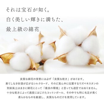 ラグ オーガニックコットンラグ 約185×240cm 洗える 抗菌 防臭 日本製 3サイズ 送料無料-3
