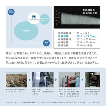 ラグ オーガニックコットンラグ 約185×240cm 洗える 抗菌 防臭 日本製 3サイズ 送料無料-4