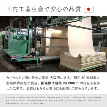 ラグ オーガニックコットンラグ 約185×240cm 洗える 抗菌 防臭 日本製 3サイズ 送料無料-7
