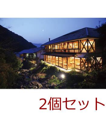 大正屋 椎葉山荘 佐賀牛＆ありた鶏カレー TC 10 ×2個セット 送料無料-2