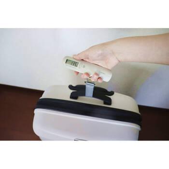 ドリテック ラゲッジスケール LS 107BE 送料無料-1