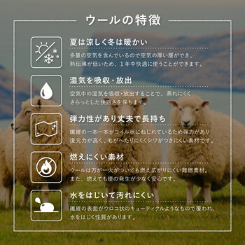 ギャッベ 玄関マット 約60×90cm Dシリーズ GABBEH D21〜D24 送料無料-6