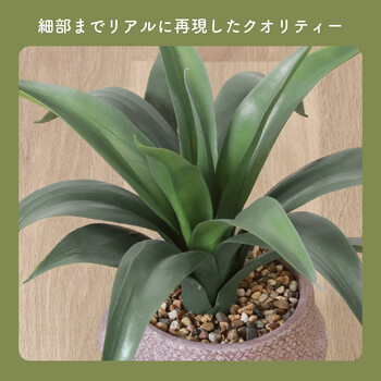 フェイクグリーン アガベ セメントポット 送料無料-4