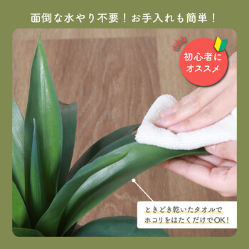 フェイクグリーン アガベ セメントポット 送料無料-6