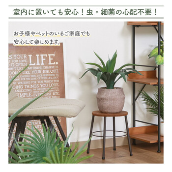 フェイクグリーン アガベ セメントポット 送料無料-7