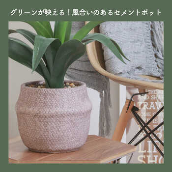 フェイクグリーン アガベ セメントポット 送料無料-8