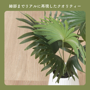 フェイクグリーン パナマソウ セラミックポット 送料無料-4