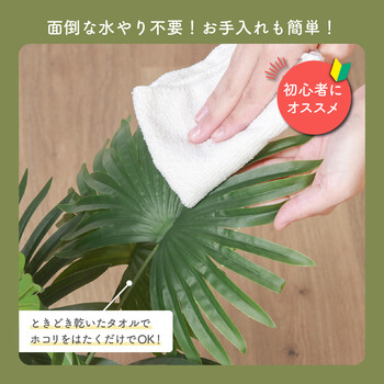 フェイクグリーン パナマソウ セラミックポット 送料無料-6