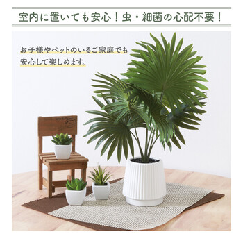 フェイクグリーン パナマソウ セラミックポット 送料無料-7