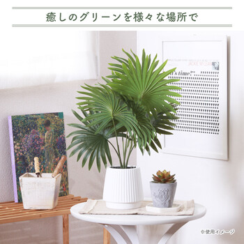 フェイクグリーン パナマソウ セラミックポット 送料無料-1