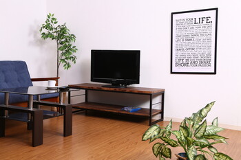 TV台 ナビア 120 送料無料-1