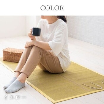 カーペット 約70×150cm　アウトドア用 シート コンパクト おでかけ畳シート 送料無料-5